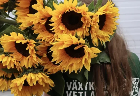 snittblommor Vetlanda, blommor, blombukett